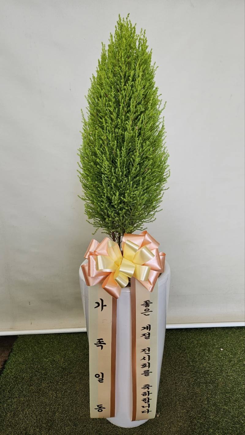 업로드 이미지