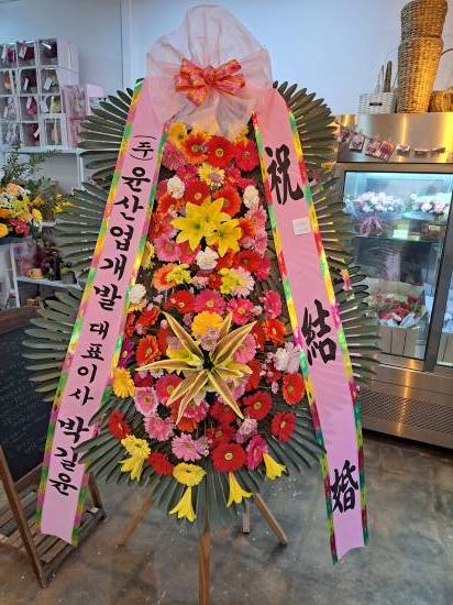 업로드 이미지