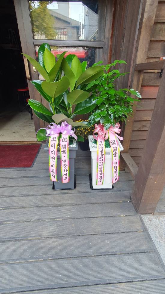 업로드 이미지