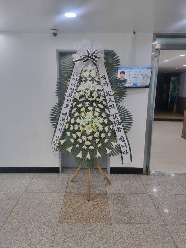 업로드 이미지