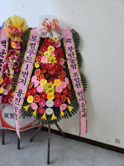 업로드 이미지
