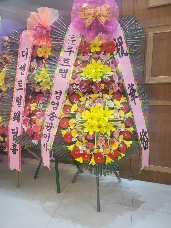 업로드 이미지