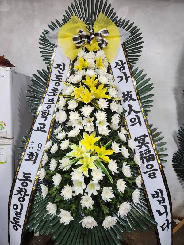 업로드 이미지