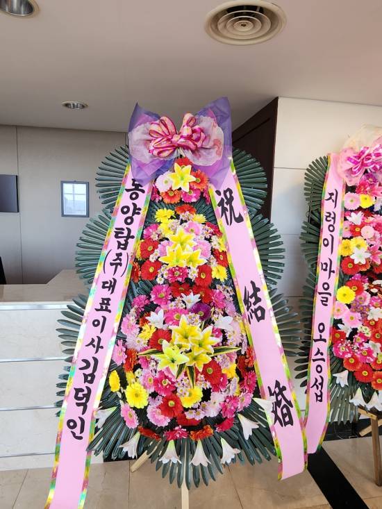 업로드 이미지