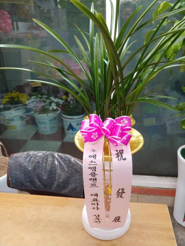 업로드 이미지