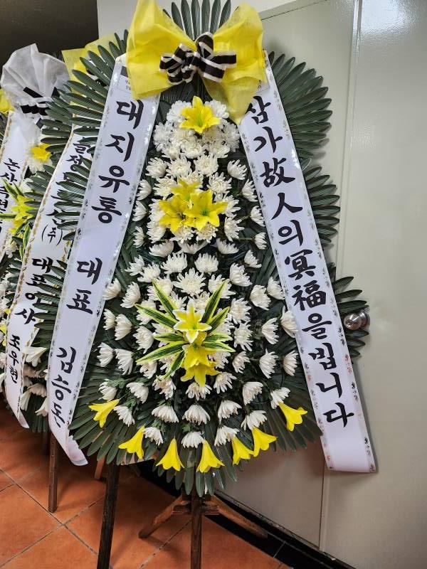 업로드 이미지