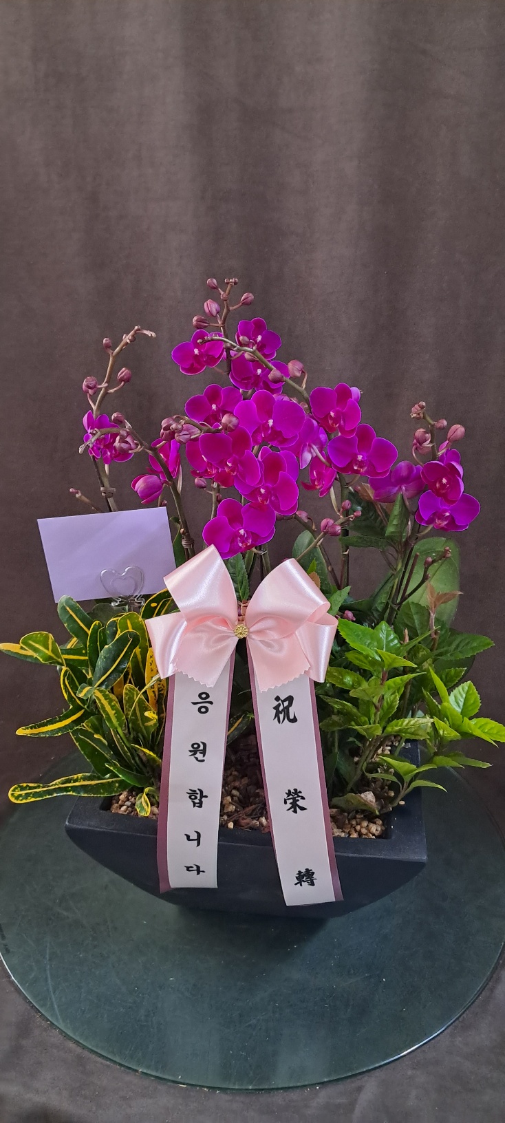 업로드 이미지