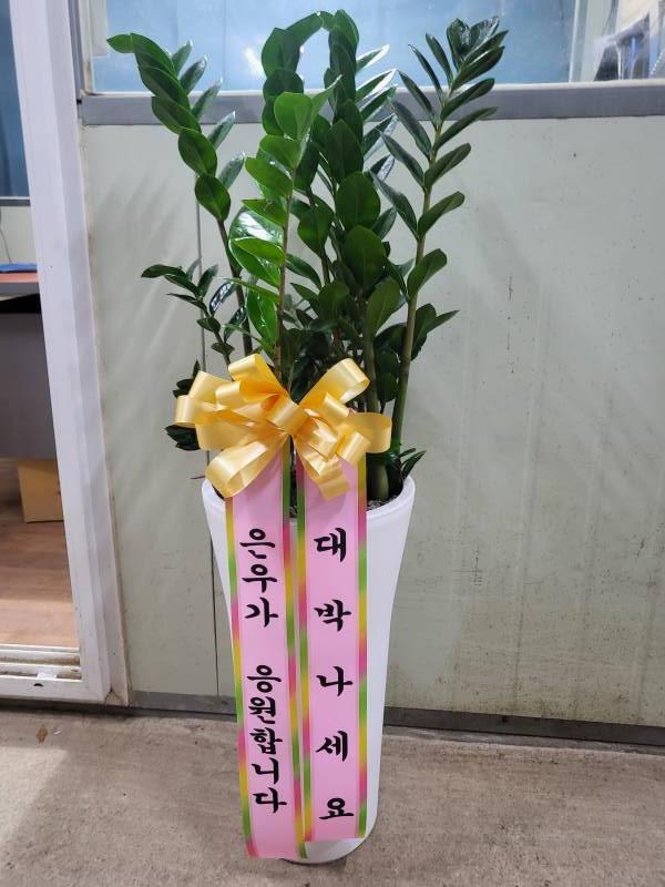 업로드 이미지