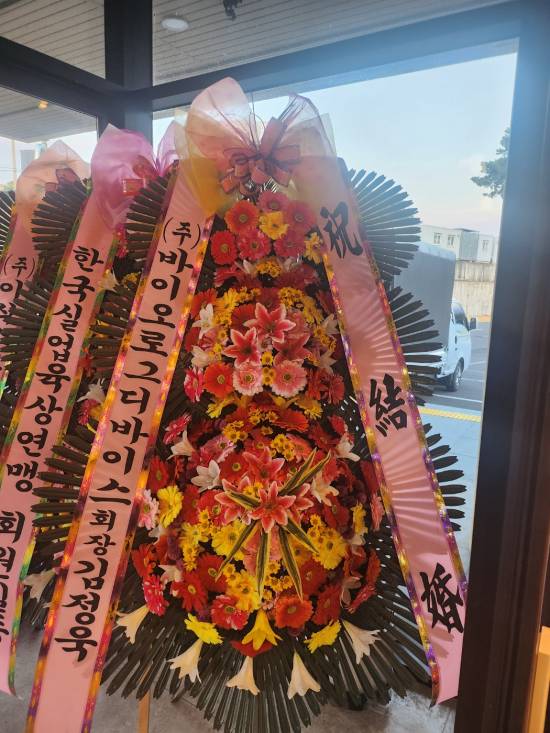 업로드 이미지