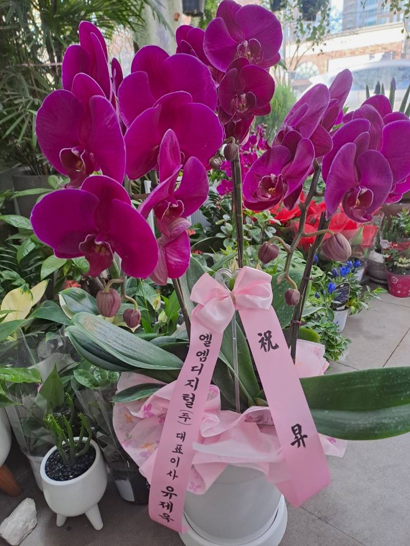 업로드 이미지