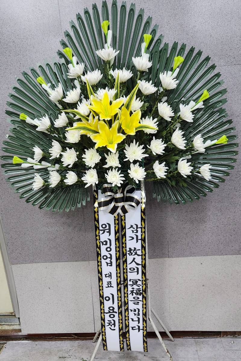 업로드 이미지