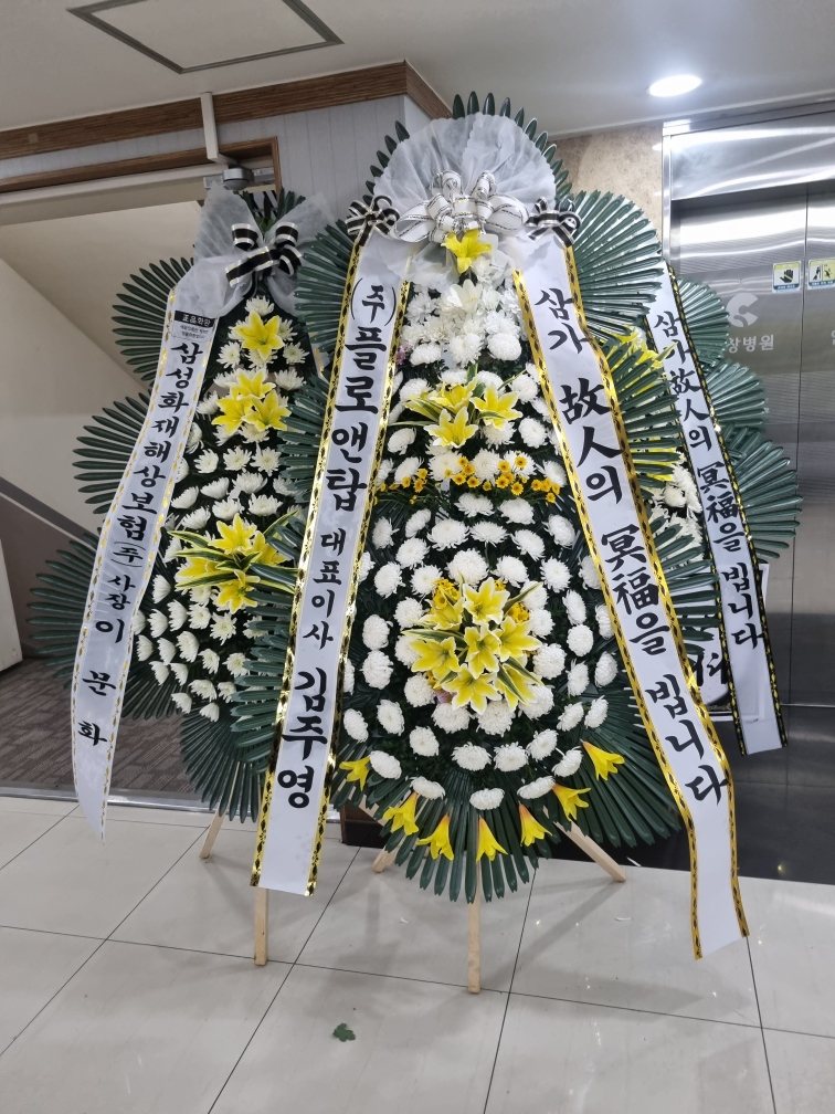 업로드 이미지