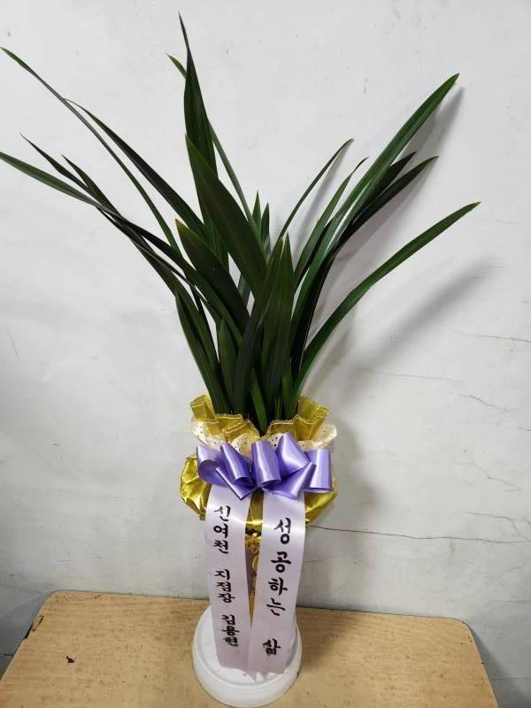 업로드 이미지