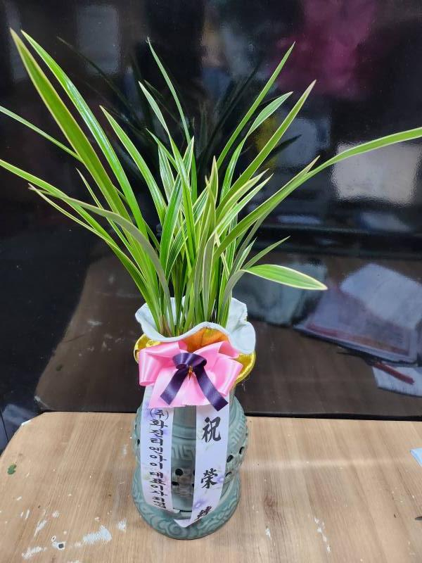 업로드 이미지