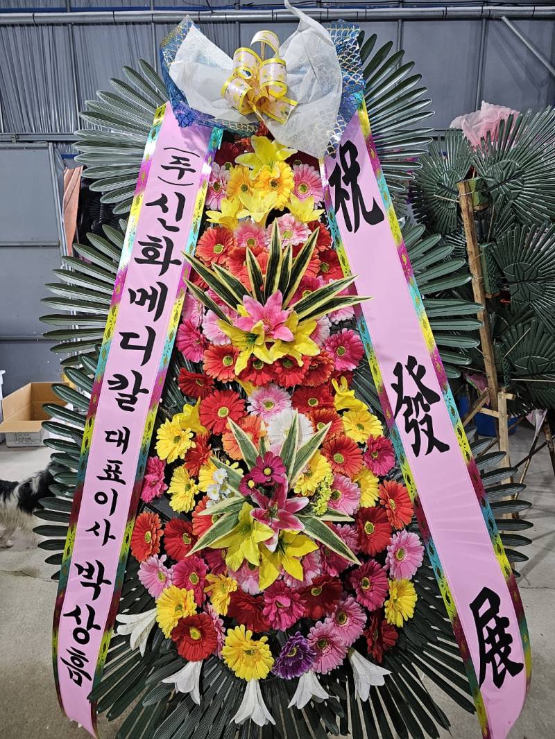 업로드 이미지