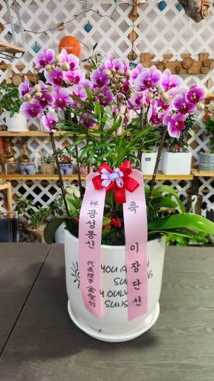 업로드 이미지