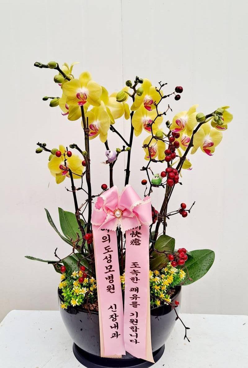 업로드 이미지