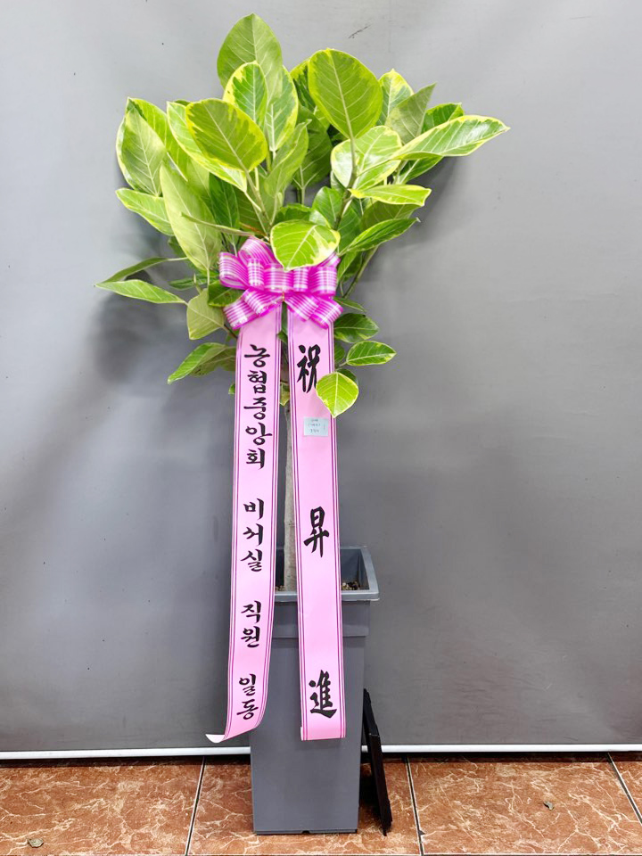 업로드 이미지