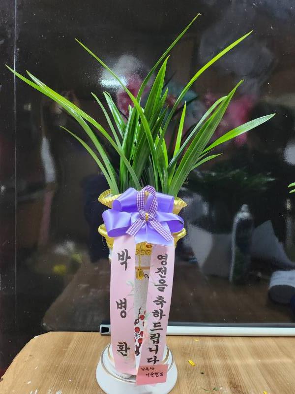 업로드 이미지