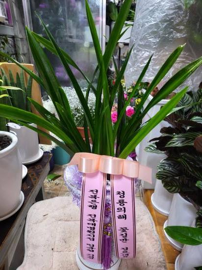 업로드 이미지