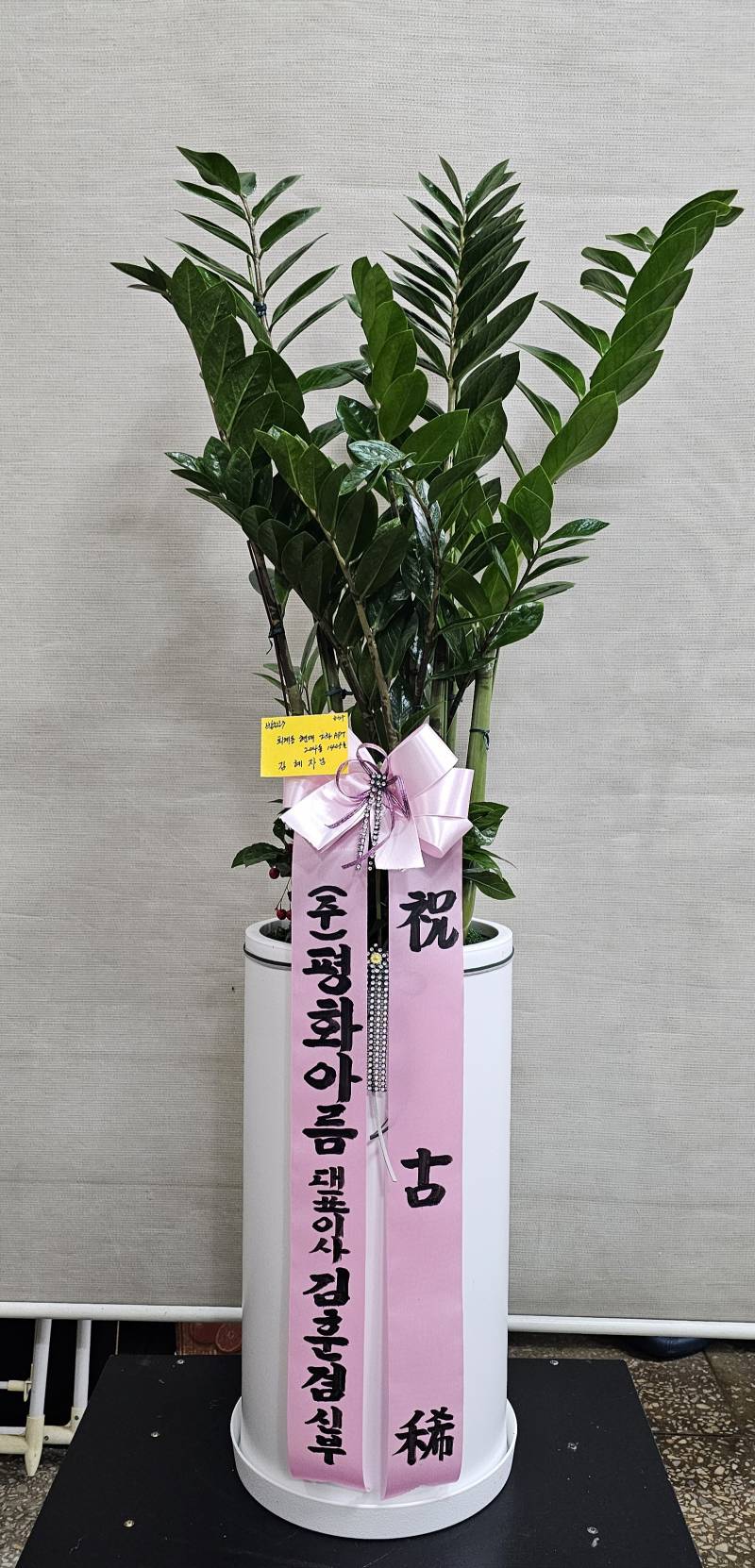 업로드 이미지