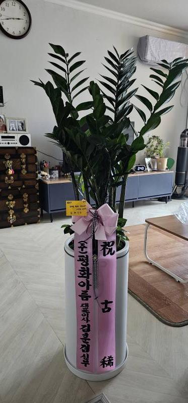 업로드 이미지