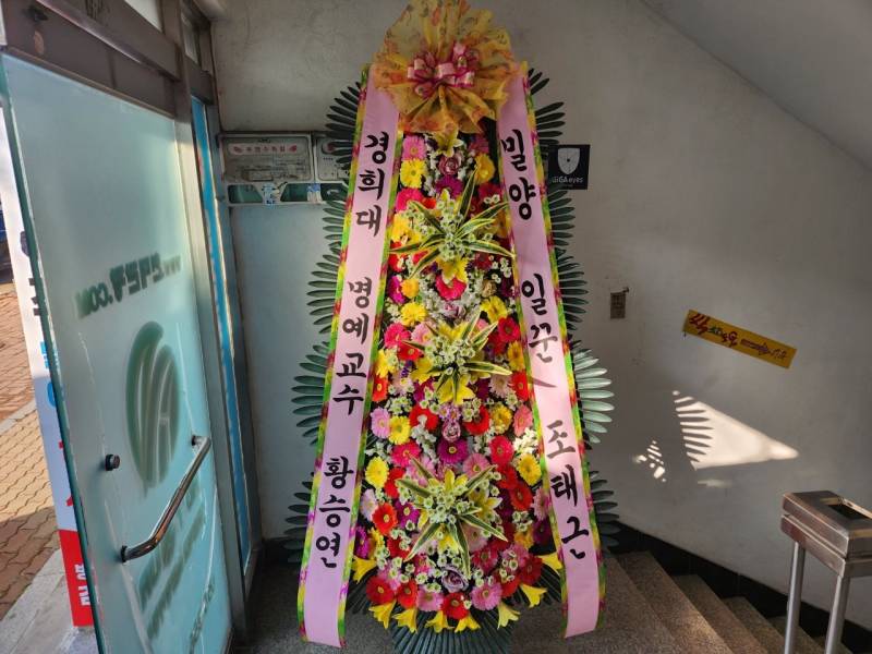 업로드 이미지