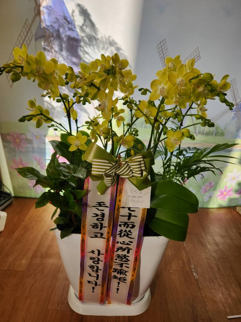 업로드 이미지