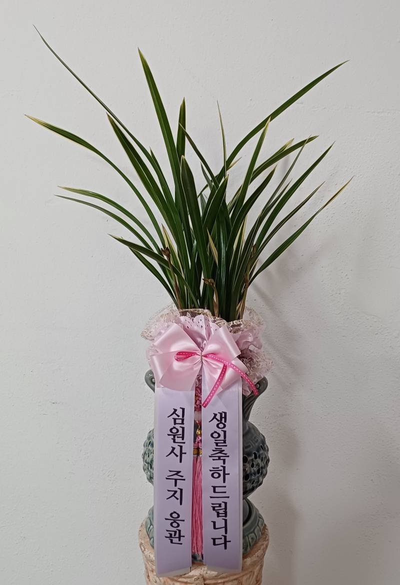 업로드 이미지