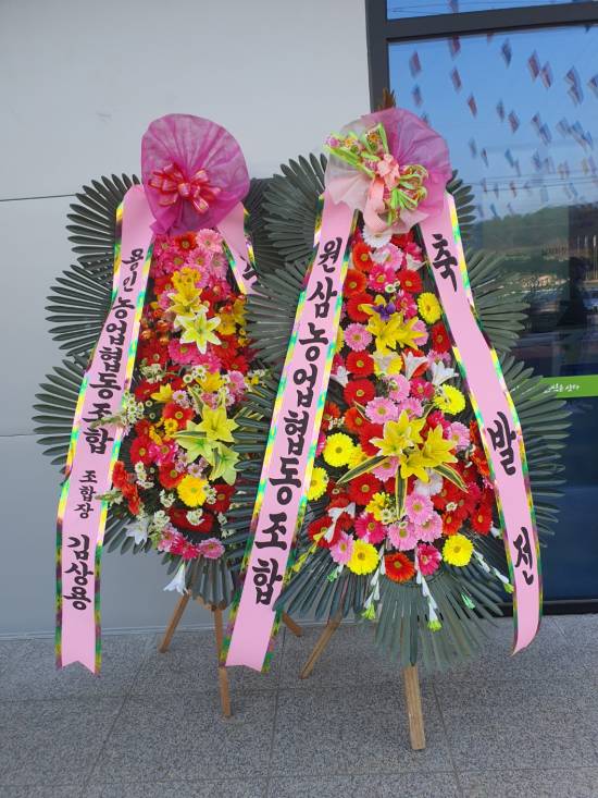 업로드 이미지