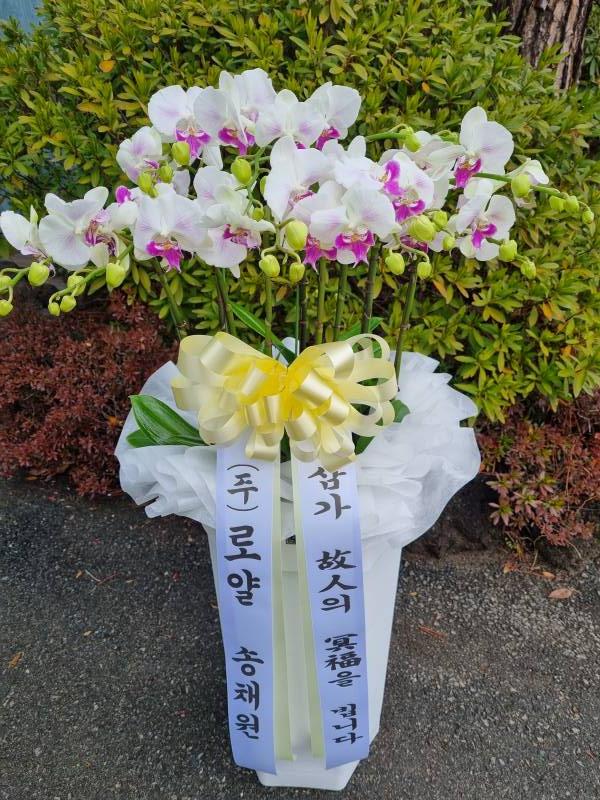 업로드 이미지