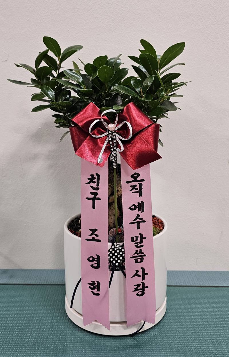 업로드 이미지