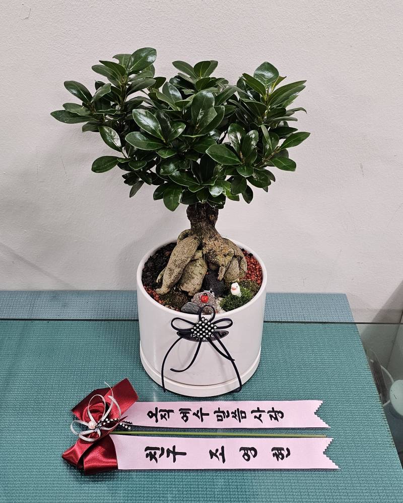 업로드 이미지