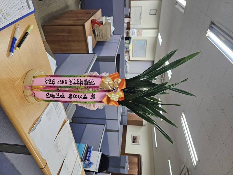 업로드 이미지