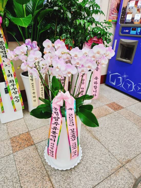 업로드 이미지
