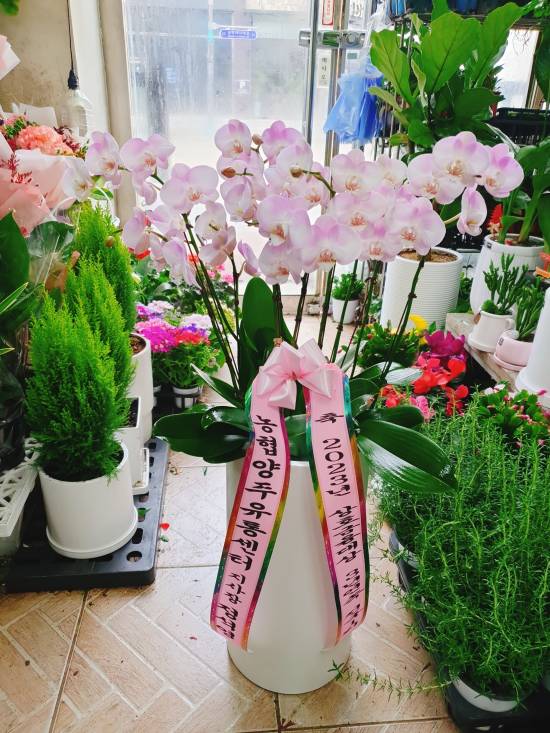 업로드 이미지