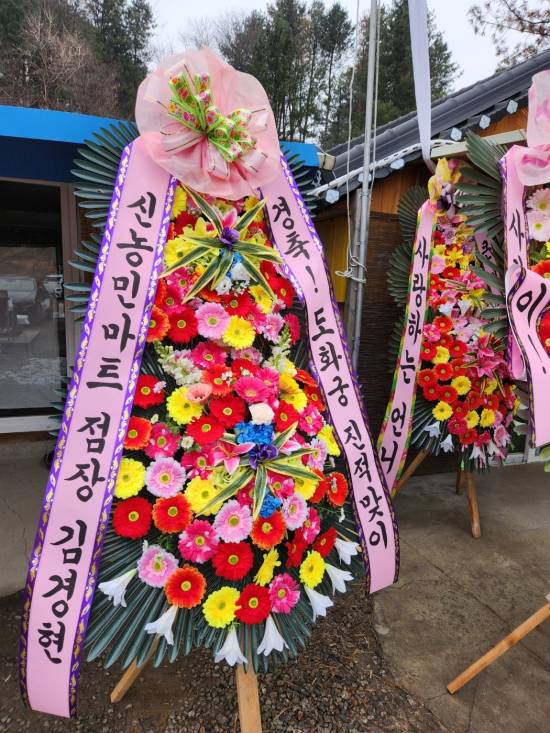 업로드 이미지