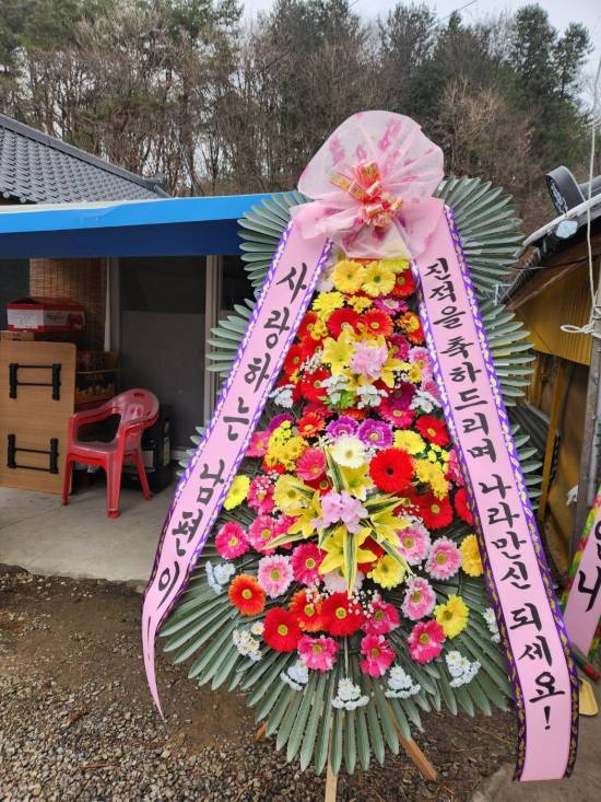 업로드 이미지
