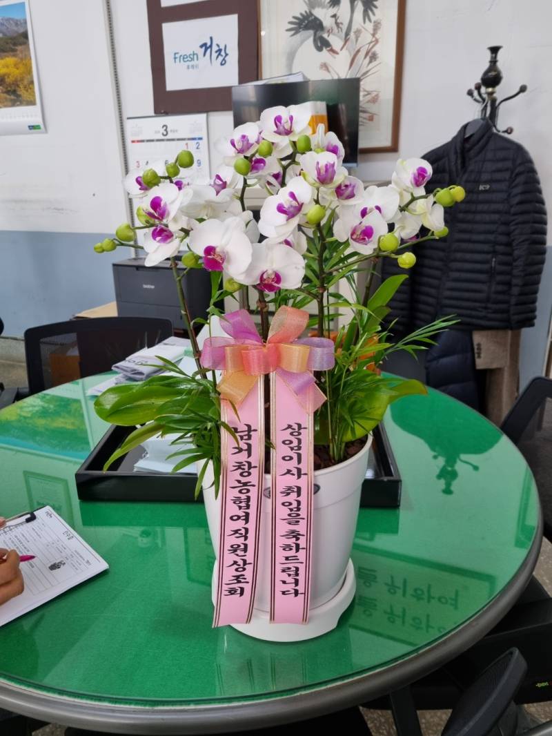 업로드 이미지