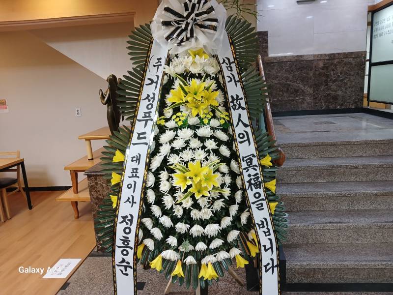 업로드 이미지
