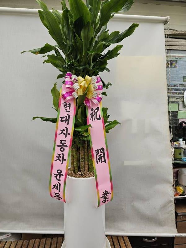 업로드 이미지