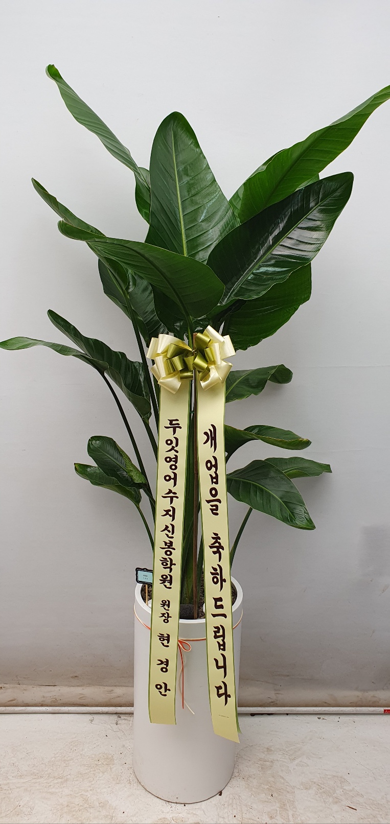 업로드 이미지