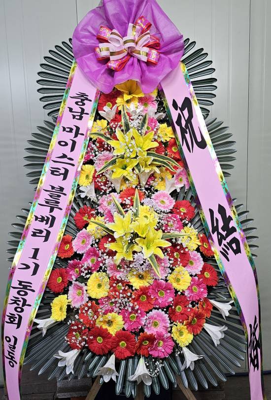 업로드 이미지