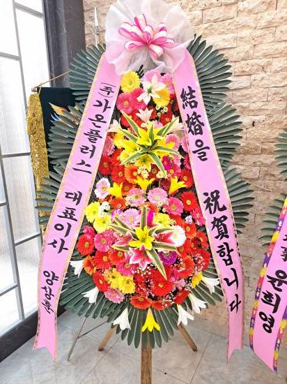 업로드 이미지