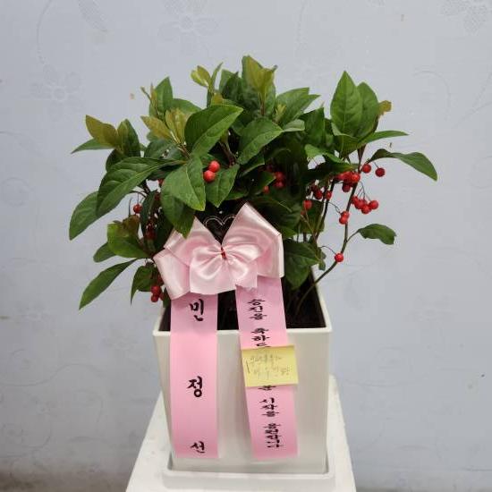 업로드 이미지