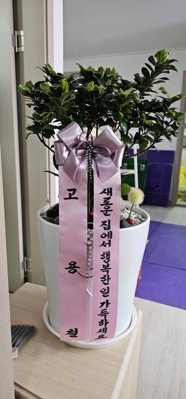 업로드 이미지
