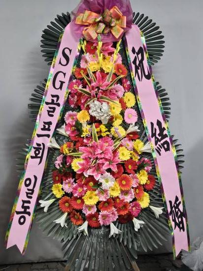업로드 이미지