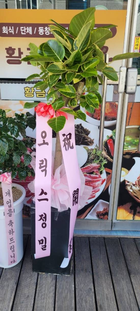 업로드 이미지
