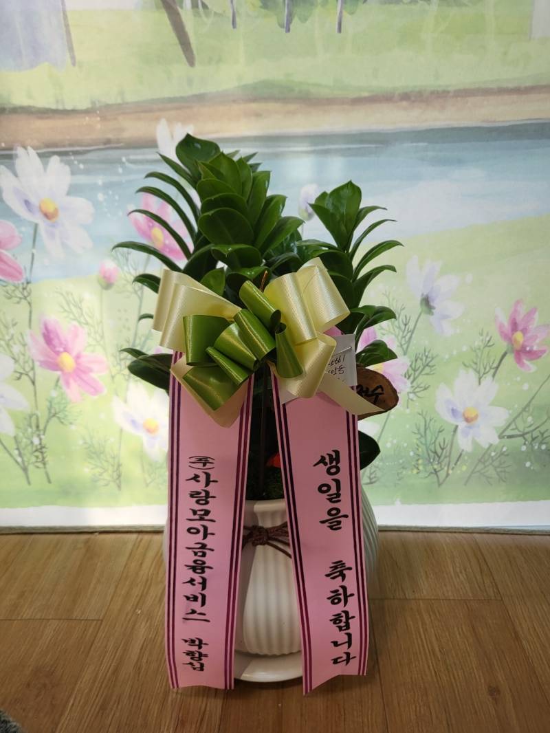 업로드 이미지