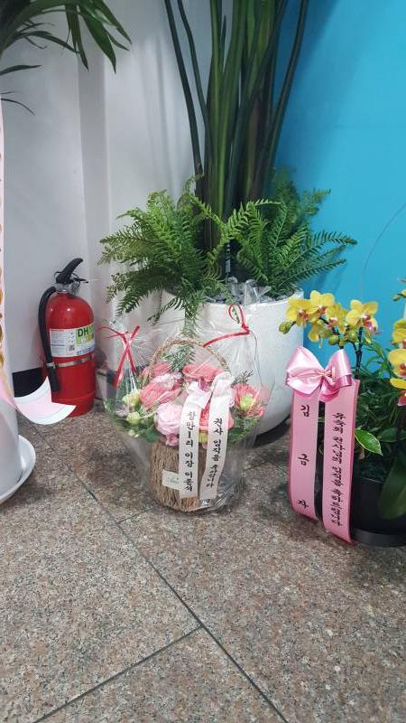 업로드 이미지